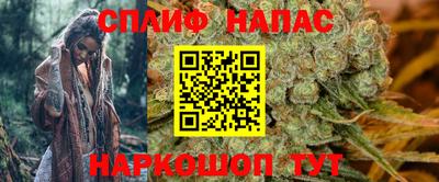 стаф Нарткала
