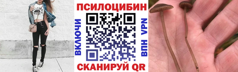 Галлюциногенные грибы Cubensis  Уварово 