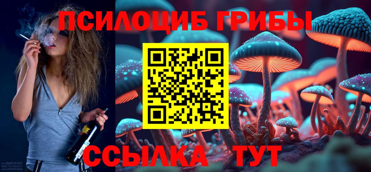 Псилоцибиновые грибы Psilocybine cubensis  как найти закладки  Уварово  Вход с VPN 